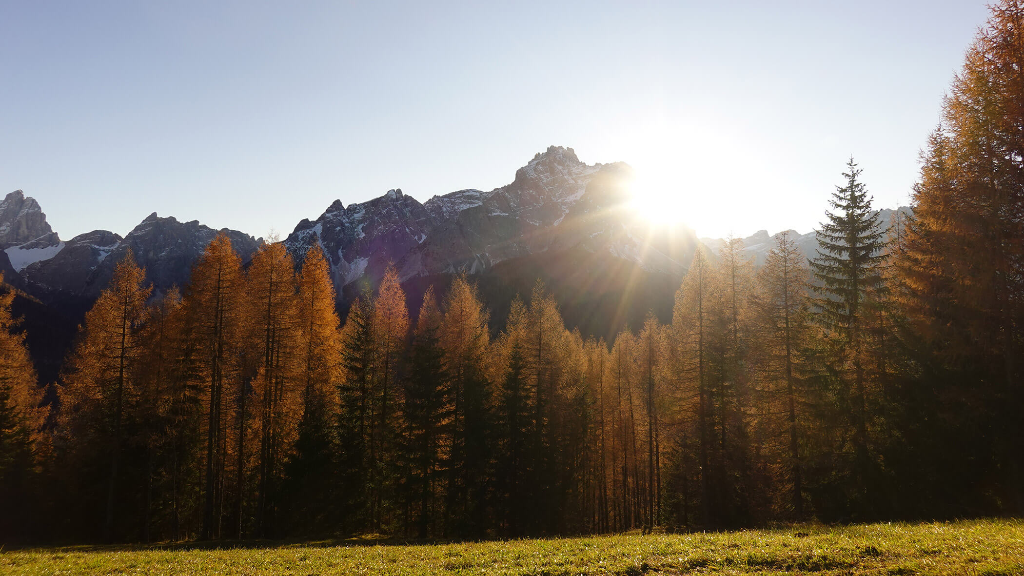Sonnenaufgang über einer Bergkette mit herbstlichen Bäumen und einer grasbewachsenen Wiese im Vordergrund. - Garni Tschurtschenthaler